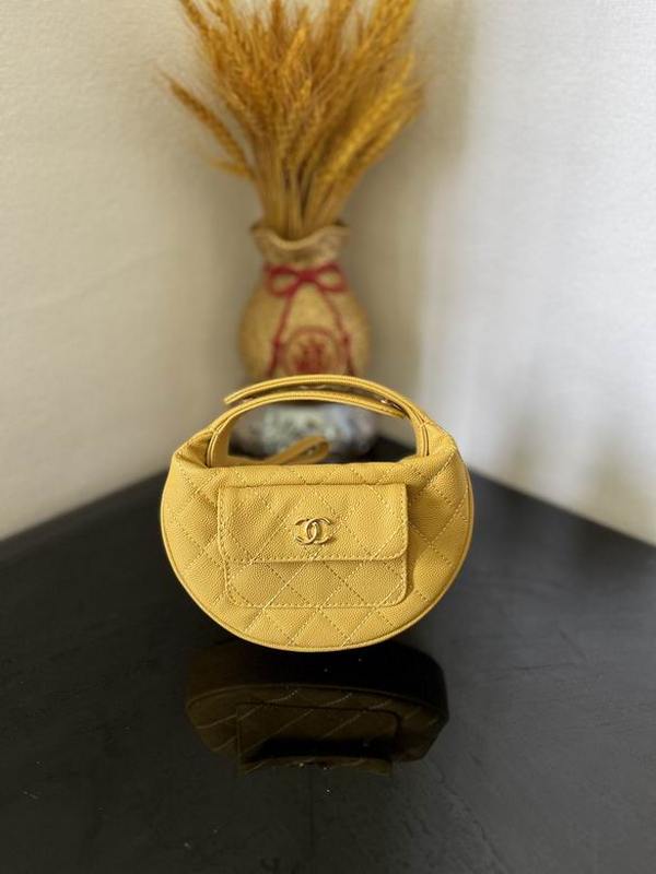 Chanel Handbags 170